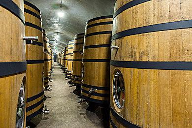 凯特·布兰切特：演《指环王》三部曲没赚到什么钱